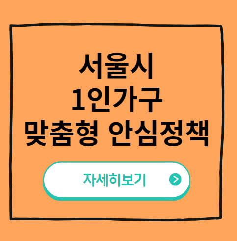 서울시 1인가구 맞춤형 안심정책 총정리